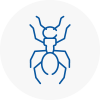 Ant Removals In Waltham