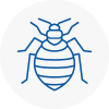 Bed Bug Extermination In Waltham