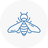 Bee Nest Removal Waltham