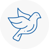 Bird Prevention Waltham