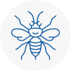 Waltham Hornet Nest Removals