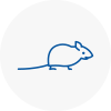 Mice Exterminators In Waltham