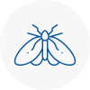 Moth Control Specialists In Waltham