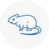 Rat Control Waltham