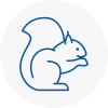 Waltham Rodent Removals