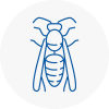 Waltham Wasp Nest Removal